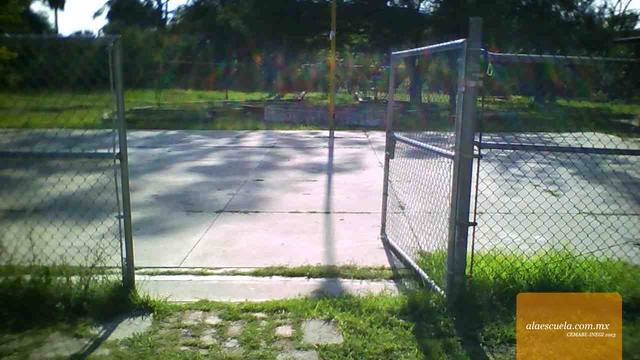 Entrada (vista previa)