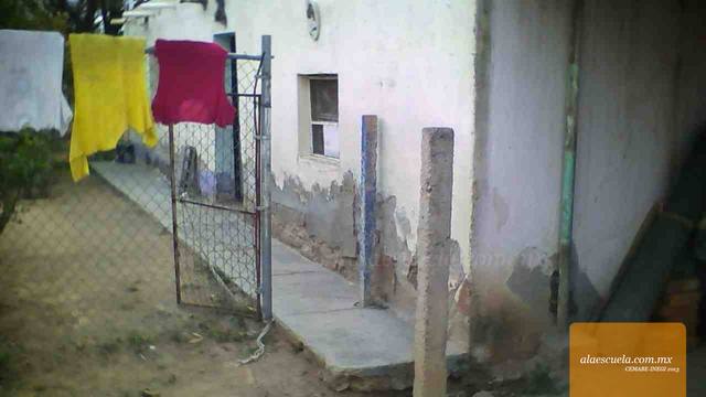 Entrada (vista previa)