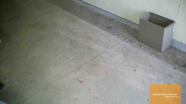 Aulas (vista previa)