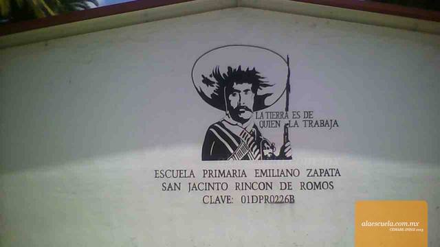 Entrada (vista previa)