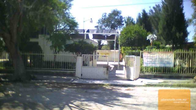 Entrada (vista previa)