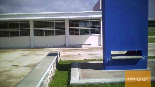 Entrada (vista previa)