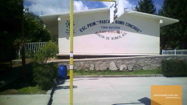 Entrada (vista previa)