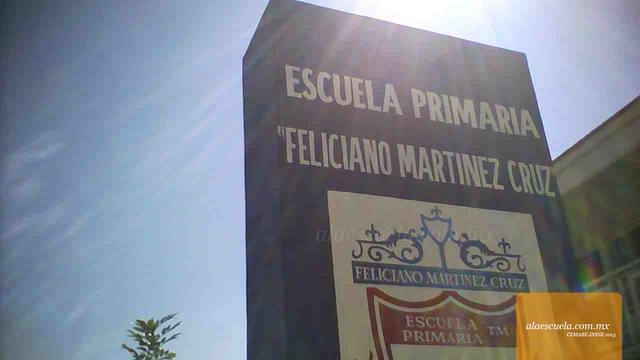 Entrada (vista previa)