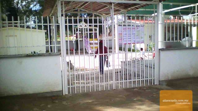 Entrada (vista previa)