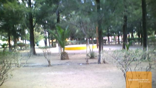 Áreas (vista previa)