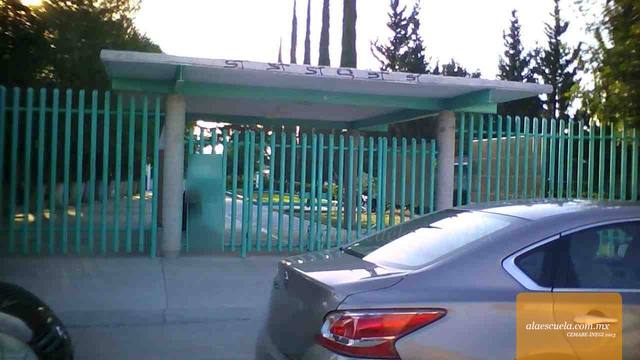 Entrada (vista previa)