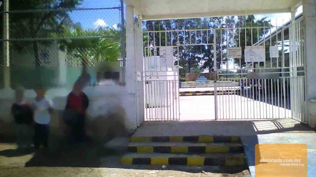 Entrada (vista previa)