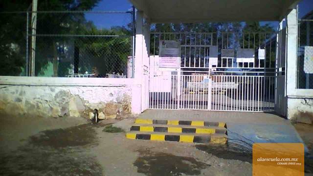 Entrada (vista previa)