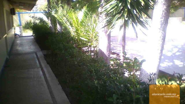 Áreas (vista previa)