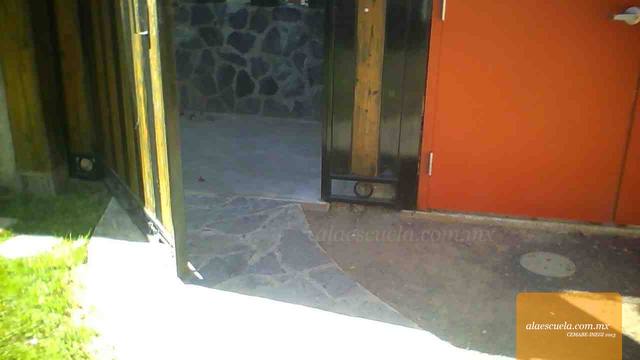 Entrada (vista previa)