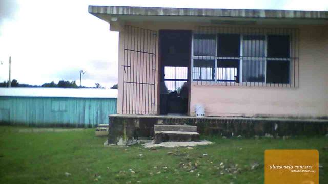 Entrada (vista previa)