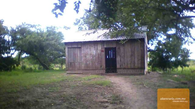 Entrada (vista previa)