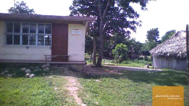 Entrada (vista previa)