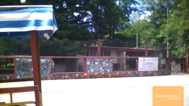 Entrada (vista previa)