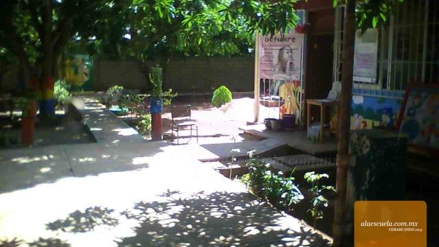 Entrada (vista previa)