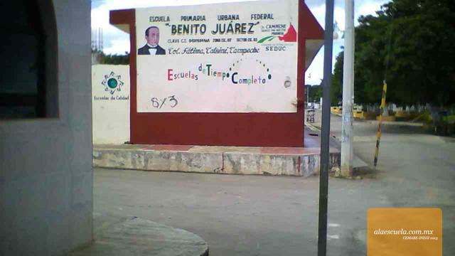 Entrada (vista previa)