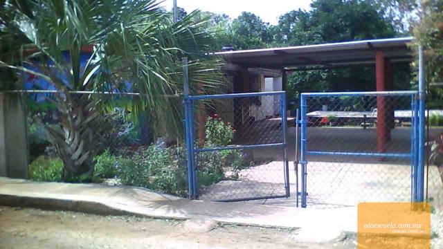 Entrada (vista previa)