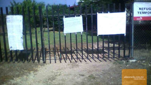 Entrada (vista previa)