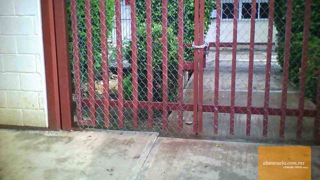 Entrada (vista previa)