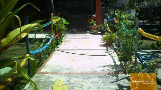 Entrada (vista previa)