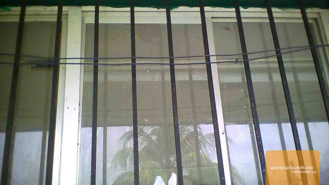 Aulas (vista previa)