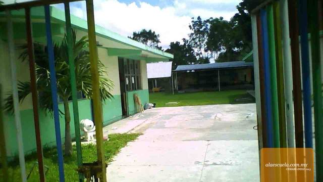 Entrada (vista previa)