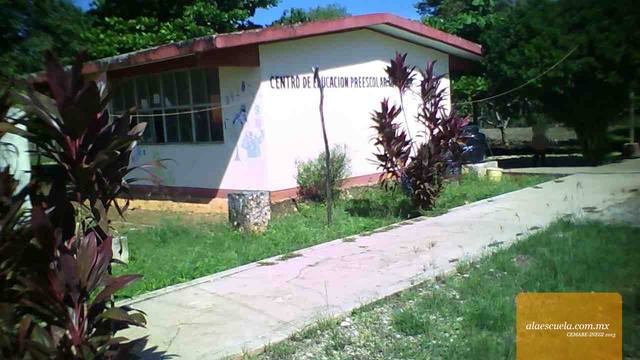 Entrada (vista previa)