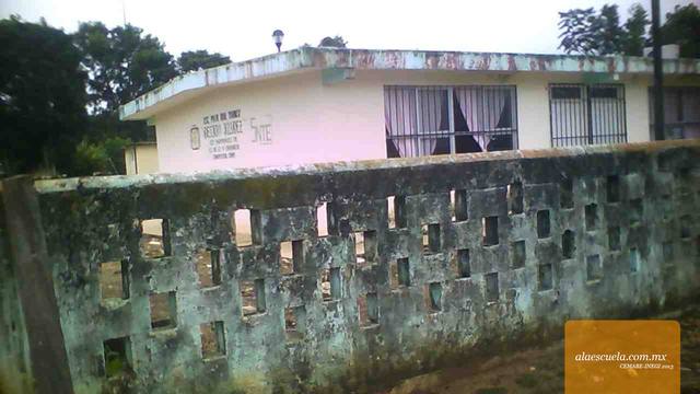 Entrada (vista previa)