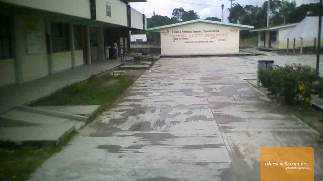 Entrada (vista previa)