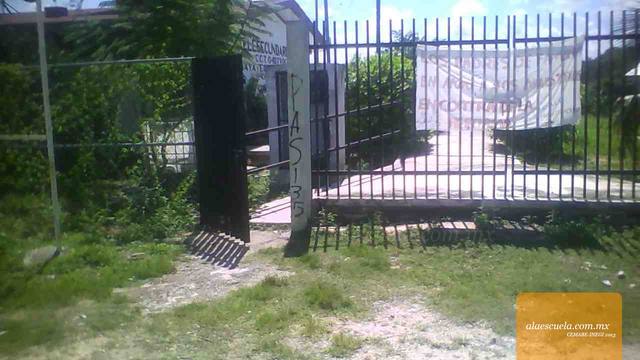 Entrada (vista previa)