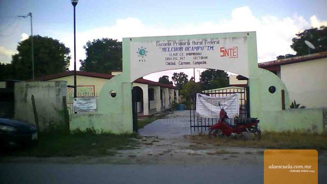 Entrada (vista previa)