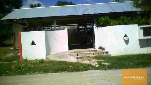 Entrada (vista previa)