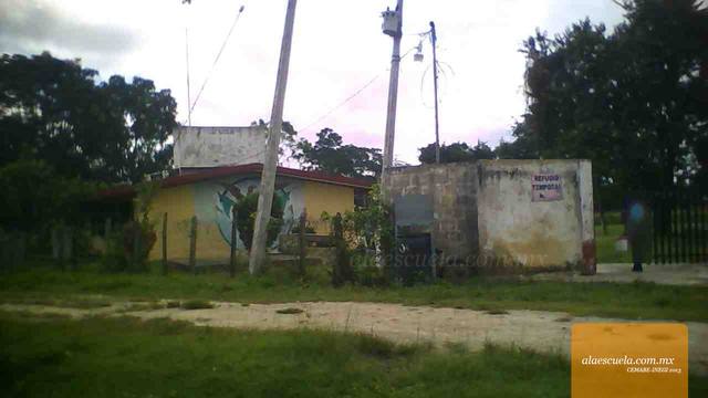 Entrada (vista previa)