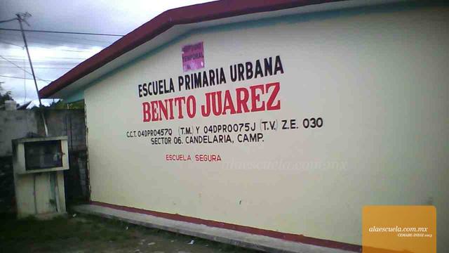 Entrada (vista previa)