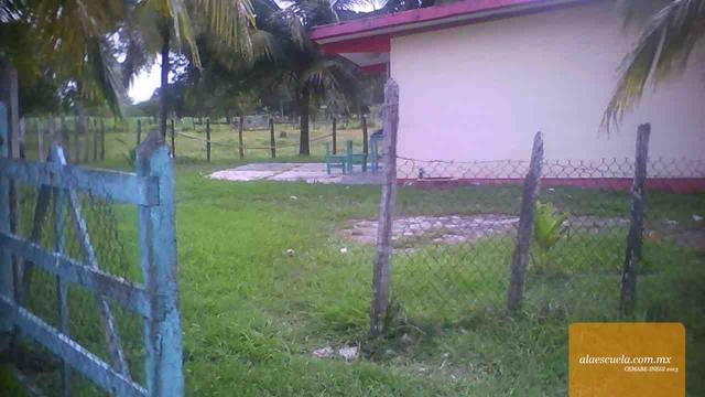 Entrada (vista previa)