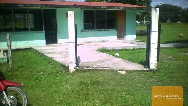 Entrada (vista previa)