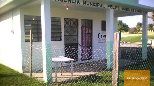 Entrada (vista previa)