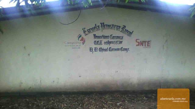 Entrada (vista previa)