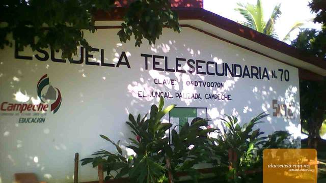 Entrada (vista previa)