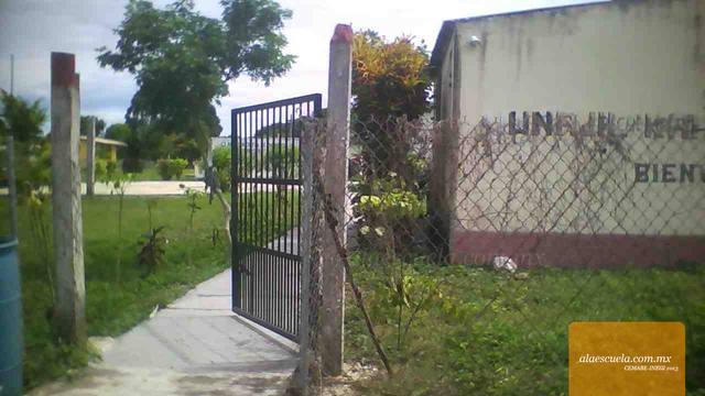 Entrada (vista previa)