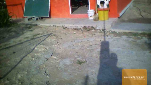 Entrada (vista previa)