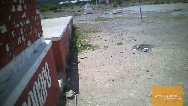 Entrada (vista previa)