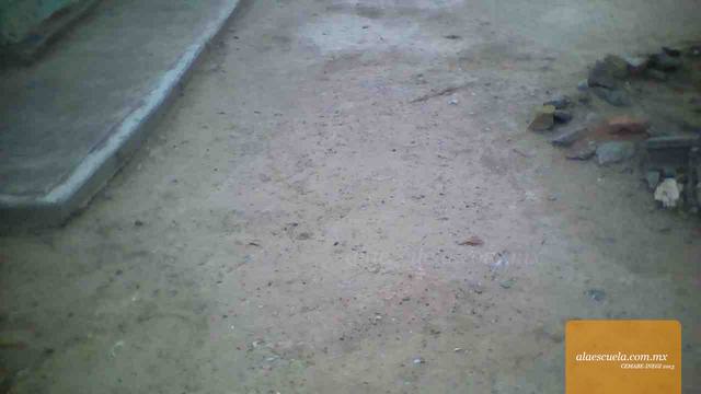 Entrada (vista previa)