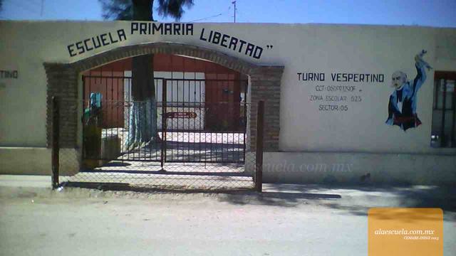 Entrada (vista previa)