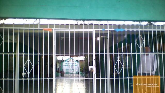 Entrada (vista previa)