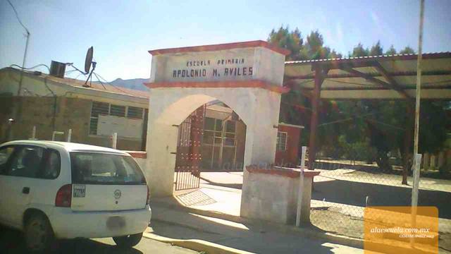 Entrada (vista previa)