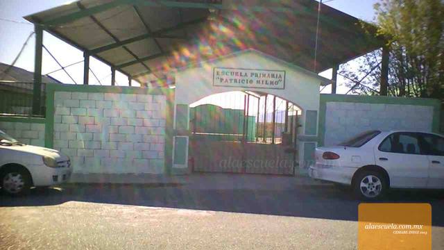 Entrada (vista previa)