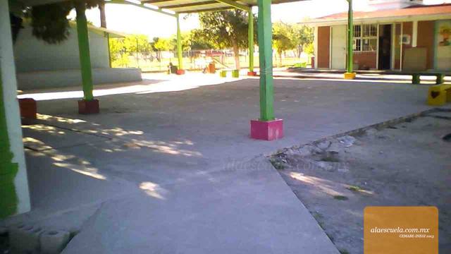 Entrada (vista previa)