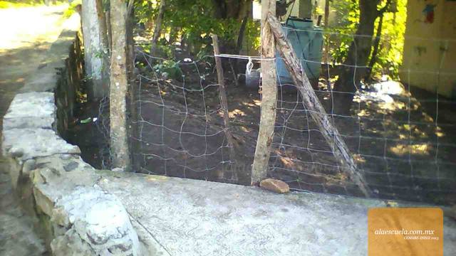 Entrada (vista previa)